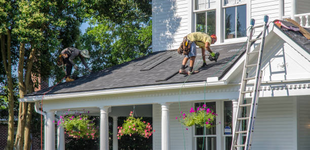 Best Roof Gutter Cleaning  in West Fork, AR